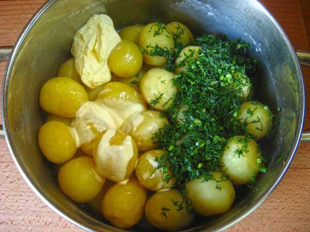 Добавляем сметану, укроп и сливочное масло к отварному картофелю.